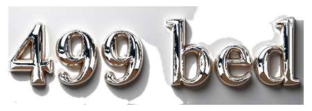 499 bed logo